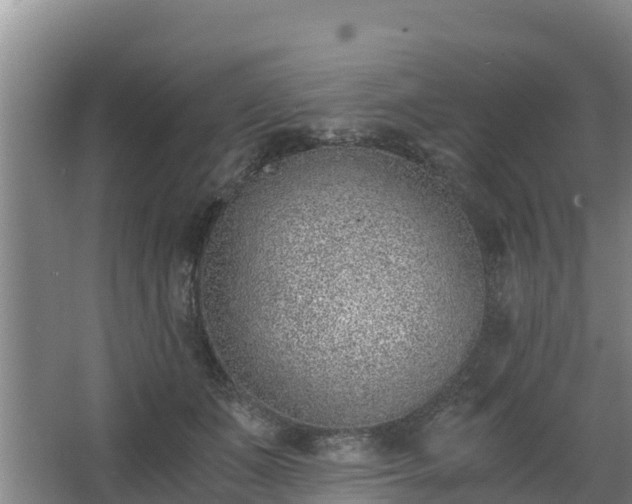 X0000068280511200604281621