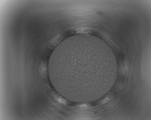 X0000068280513200604281621