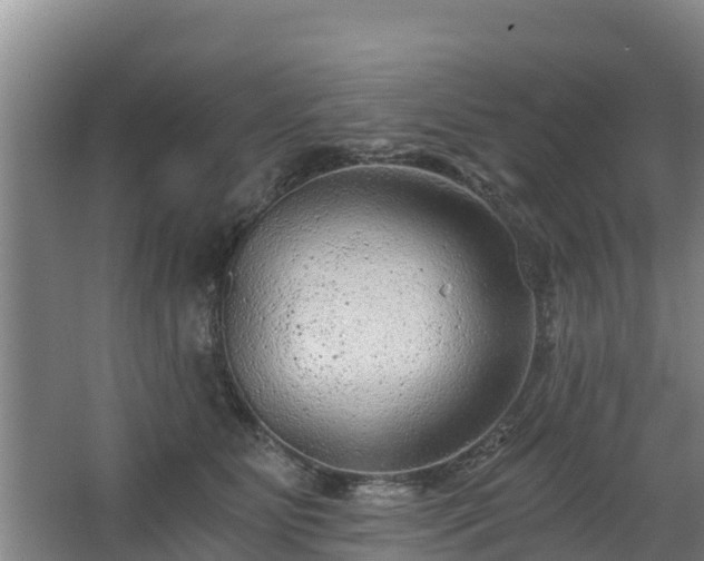 X0000068280515200604281621