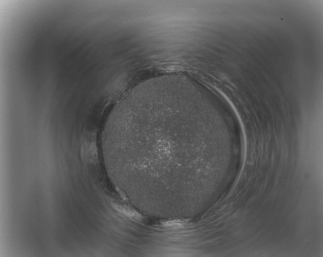 X0000068280516200604281621