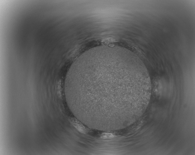 X0000068280519200604281621