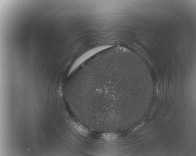 X0000068280520200604281621