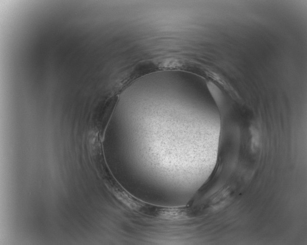 X0000068280521200604281621