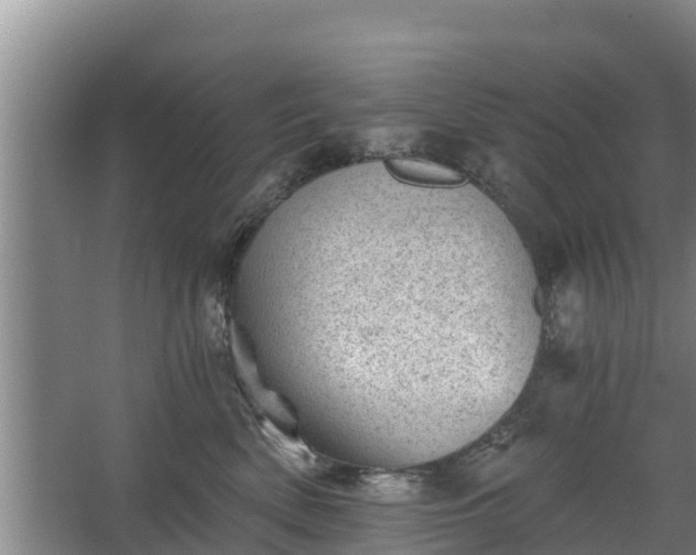 X0000068280522200604281621