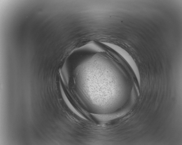 X0000068280524200604281621