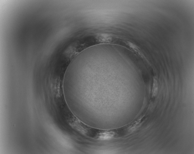 X0000068280525200604281621