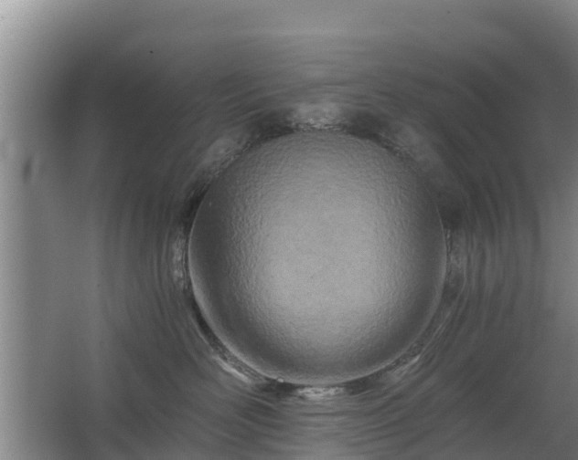 X0000068280526200604281621