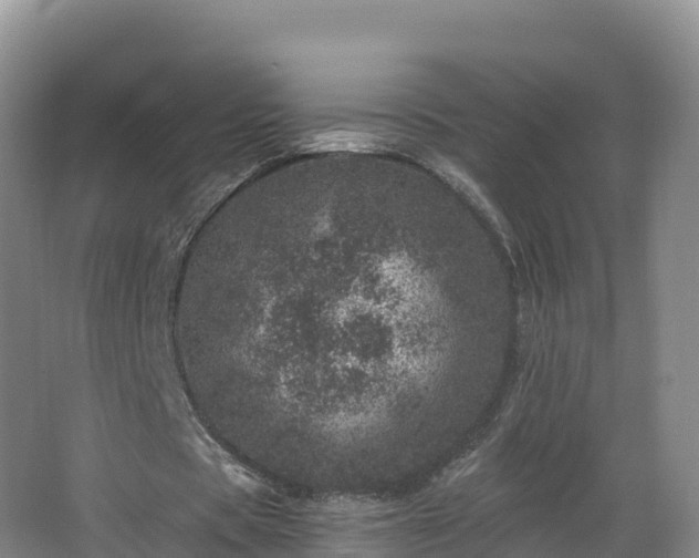 X0000068280529200604281620