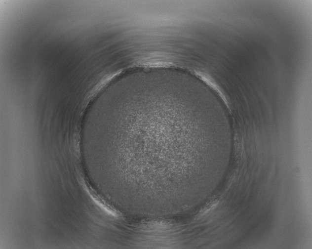 X0000068280533200604281620