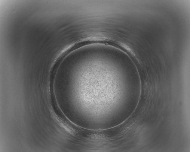 X0000068280535200604281620