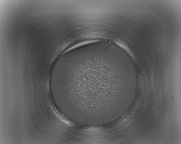 X0000068280537200604281620