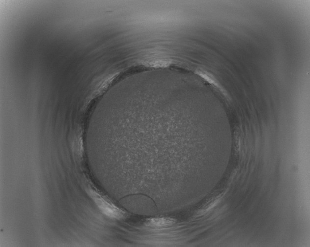 X0000068280541200604281620