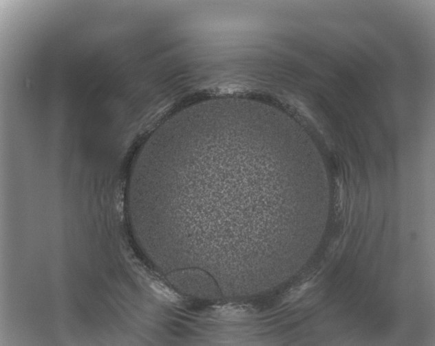 X0000068280545200604281620