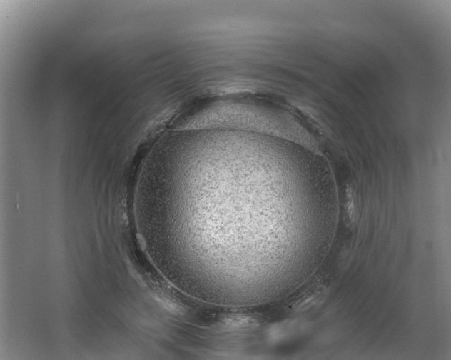 X0000068280547200604281620