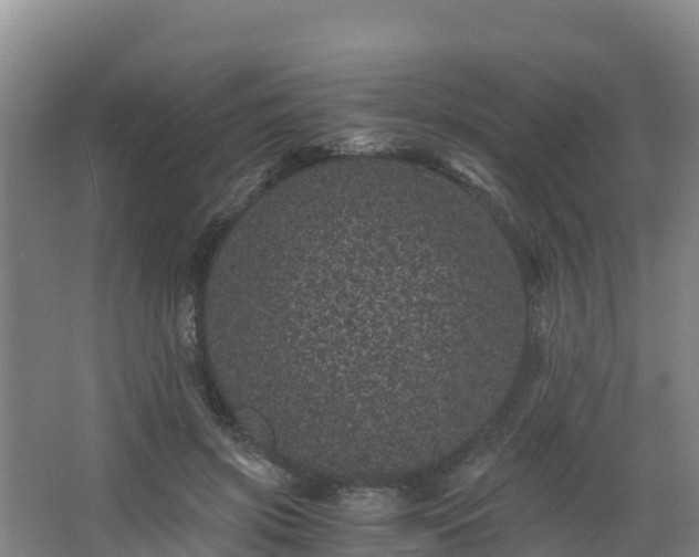 X0000068280549200604281620