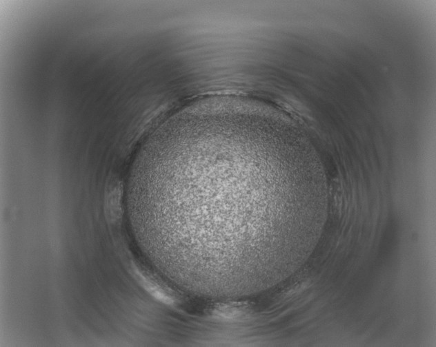 X0000068280550200604281620