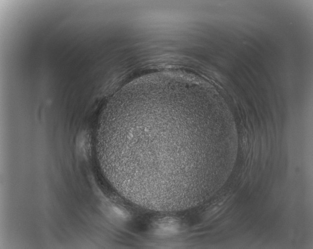 X0000068280551200604281620