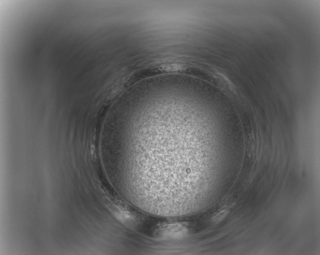 X0000068280553200604281620