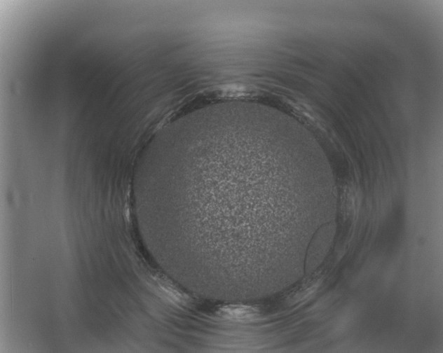 X0000068280557200604281620