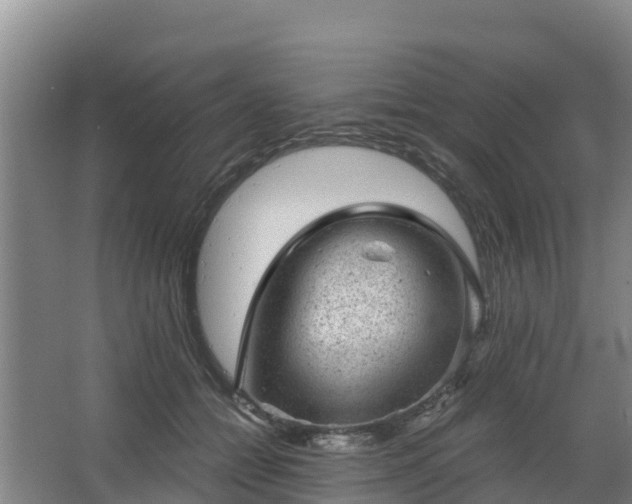 X0000068280558200604281620