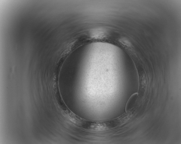 X0000068280559200604281620