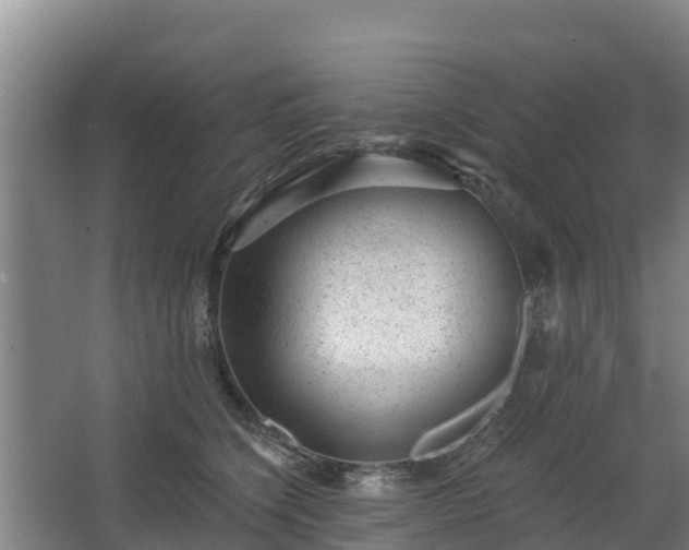 X0000068280564200604281620