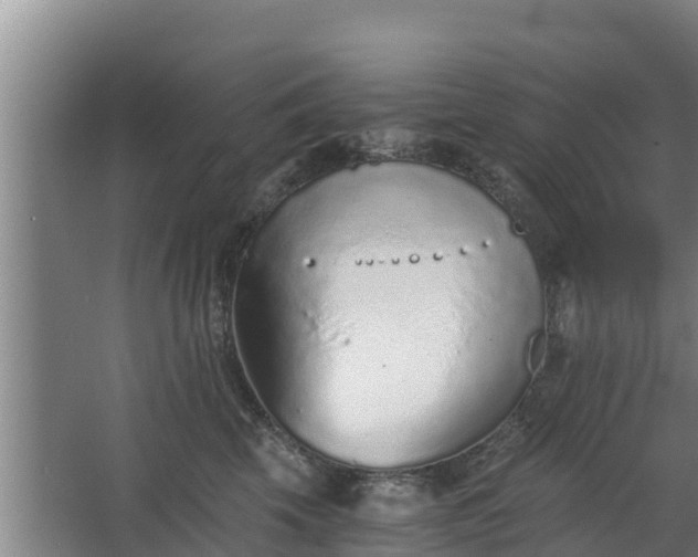 X0000068280569200604281621