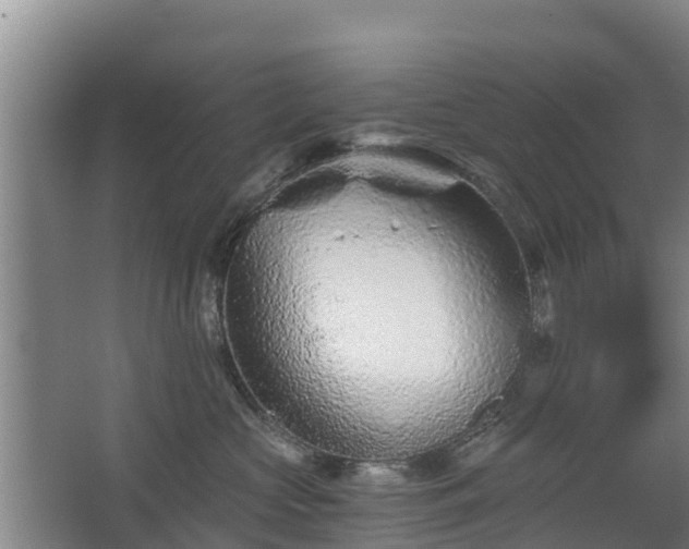 X0000068280573200604281621