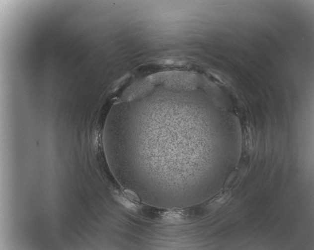 X0000068280574200604281621