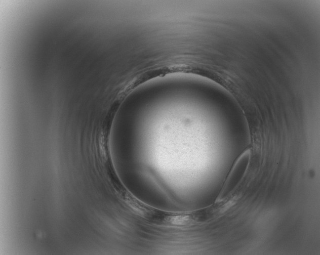 X0000068280575200604281621