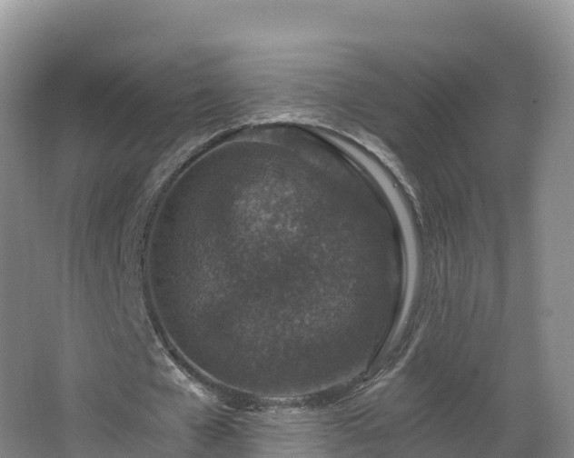 X0000068280577200604281620