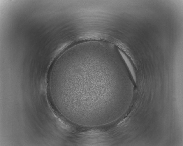 X0000068280578200604281620