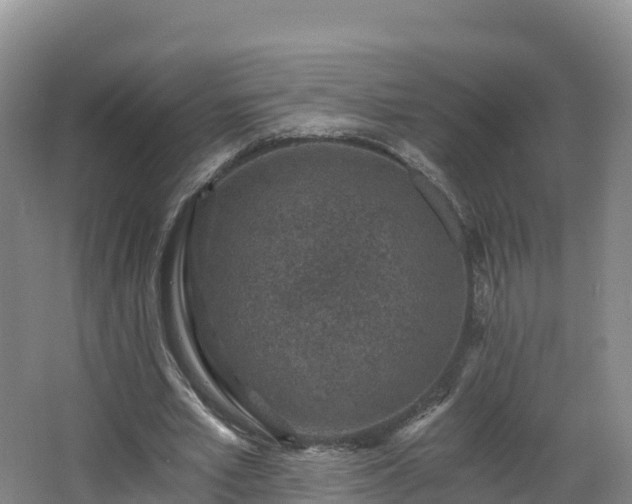 X0000068280581200604281620