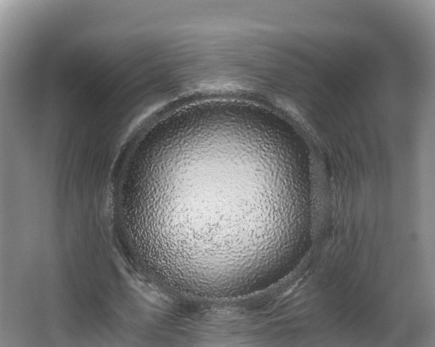 X0000068280583200604281620