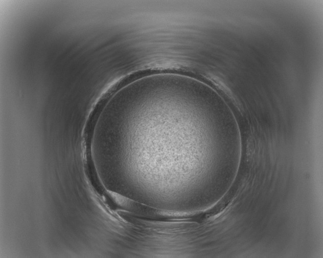 X0000068280584200604281620