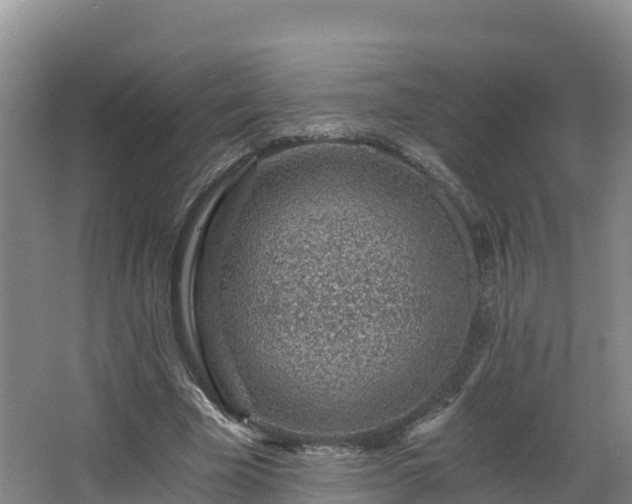 X0000068280585200604281620