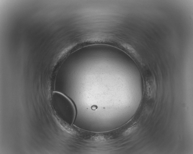 X0000068280588200604281620