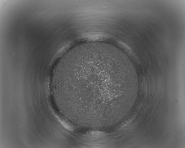 X0000068280590200604281620