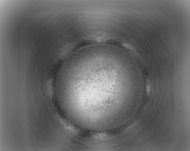 X0000068280594200604281620