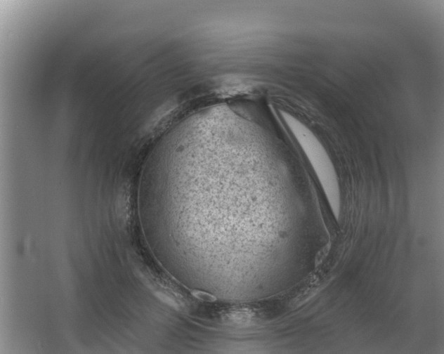 X0000068280600200604281619