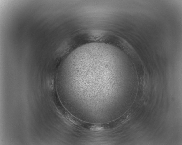 X0000068280602200604281619