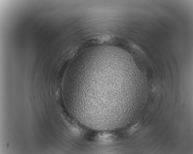 X0000068280607200604281619