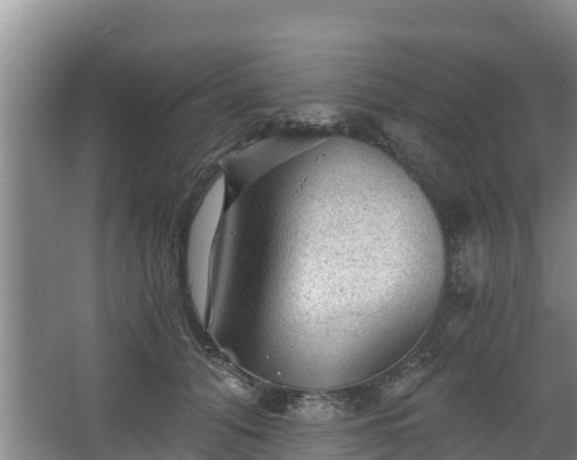 X0000068280608200604281619