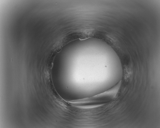 X0000068280613200604281619