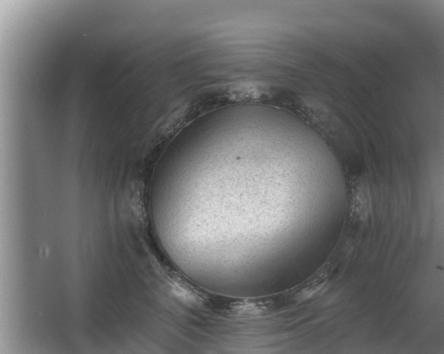 X0000068280616200604281619