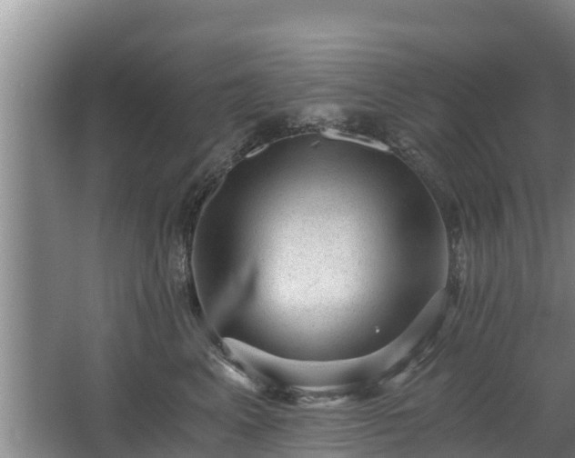 X0000068280617200604281619