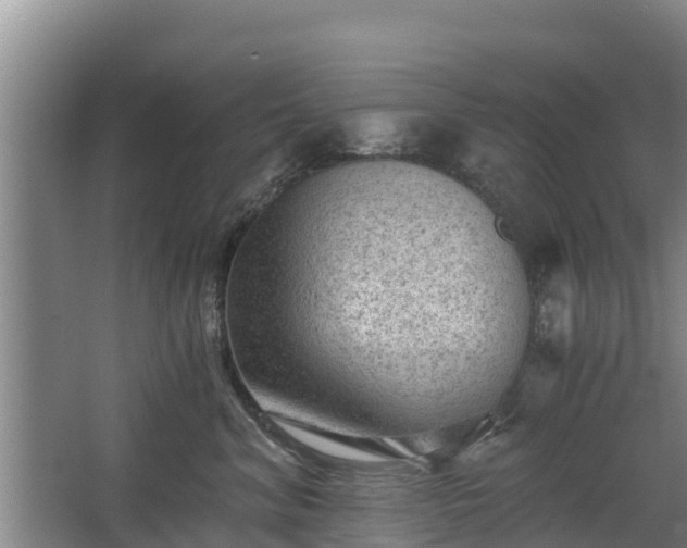 X0000068280620200604281619