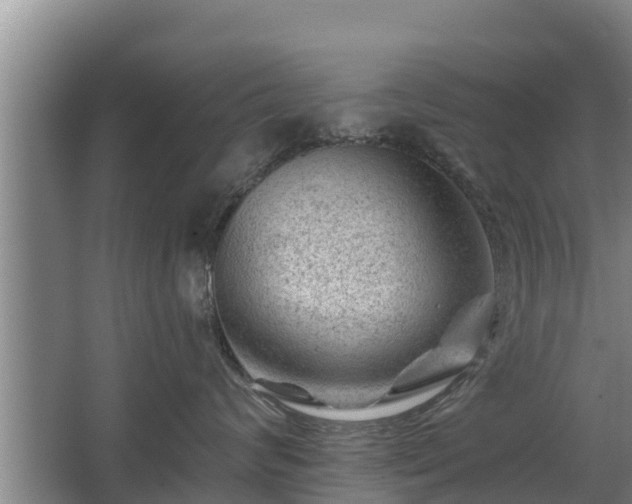 X0000068280624200604281619