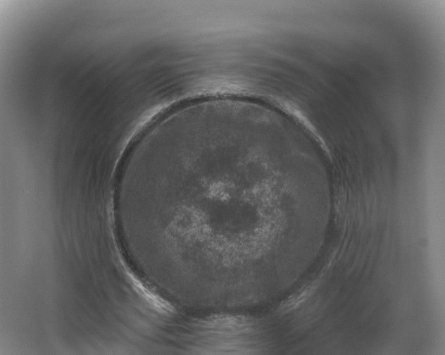 X0000068280629200604281618