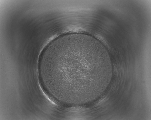 X0000068280630200604281618